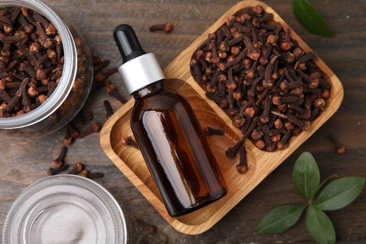 Clove Bud Essential Oil